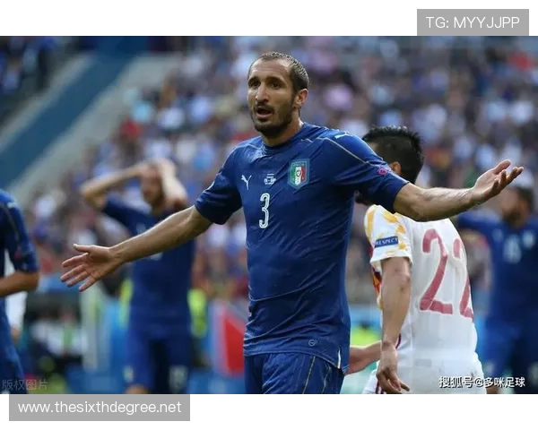 奥地利历史上的欧锦赛成就与未来展望分析