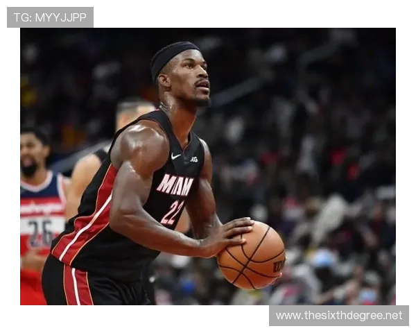 安特卫普阵容深度