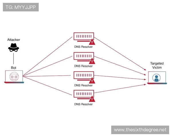 上海申花进攻依赖单点，多样化选择是否受限？