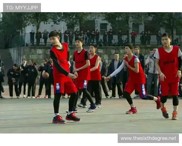 专业解析篮球比赛中不同联赛的回场规则差异及判定标准